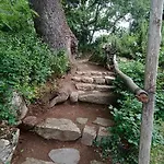 Kikina