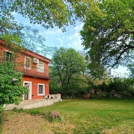B&B Kikina Austis