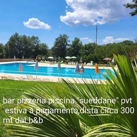 Kikina Bed & Breakfast Austis
