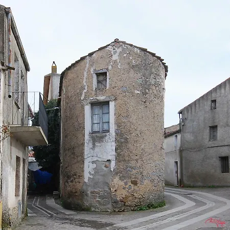 B&B Kikina Austis