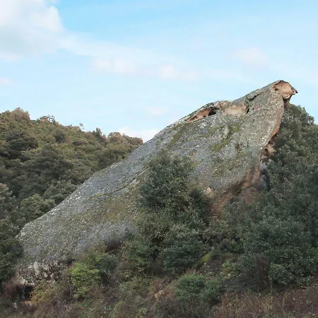 Kikina 3* Austis
