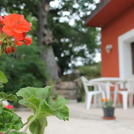 Kikina Bed & Breakfast Austis